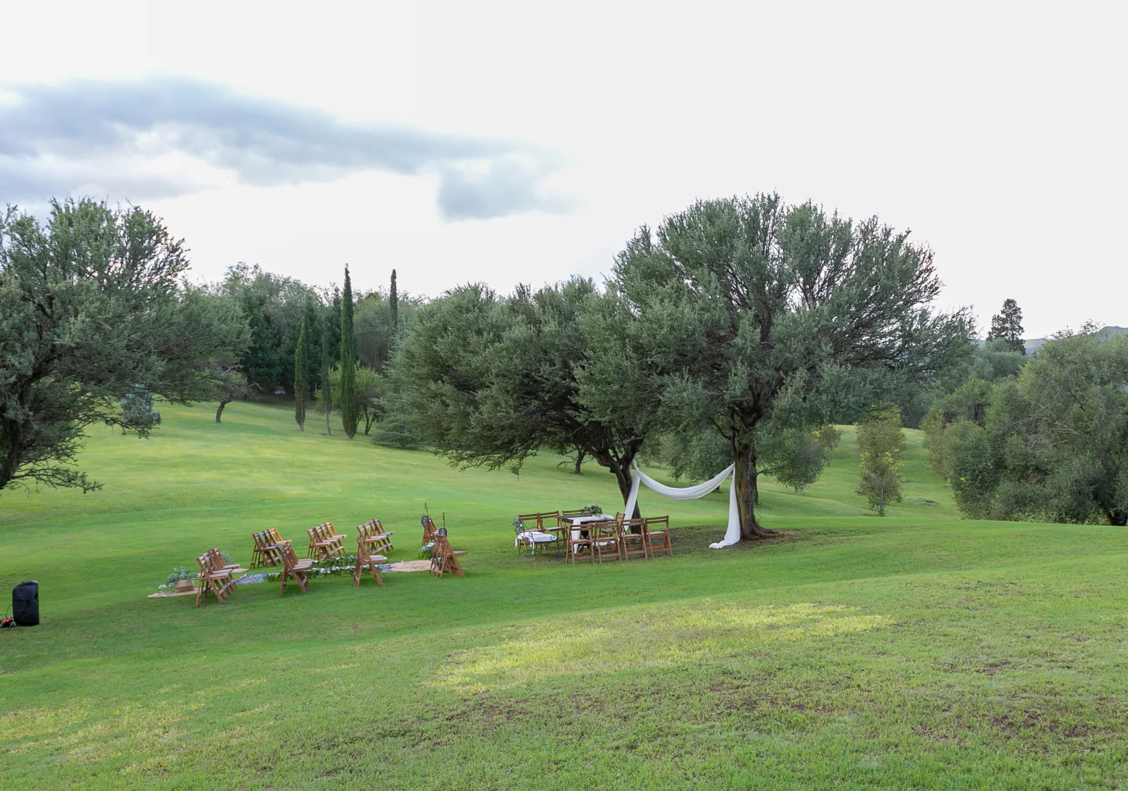 Ceremonia de casamiento armada al aire libre bajo los árboles