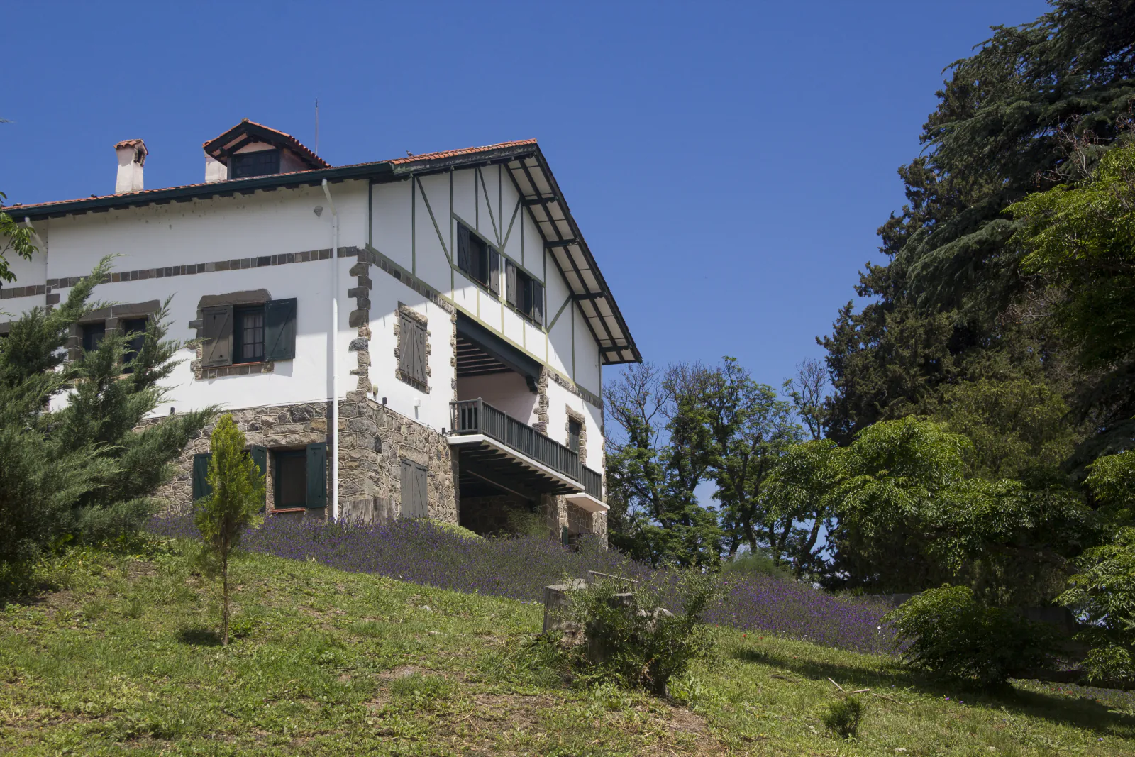 La Casa Grande vista desde el jardín entre flores silvestres