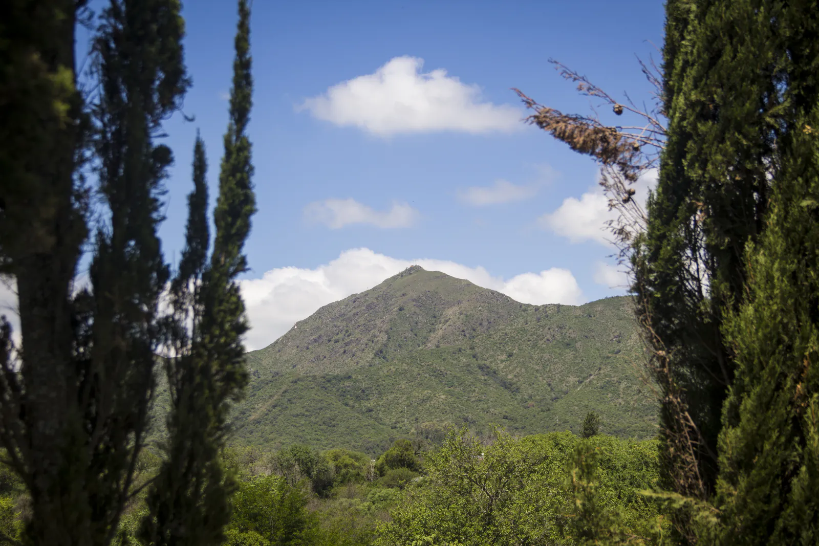 El cerro entre los cipreses