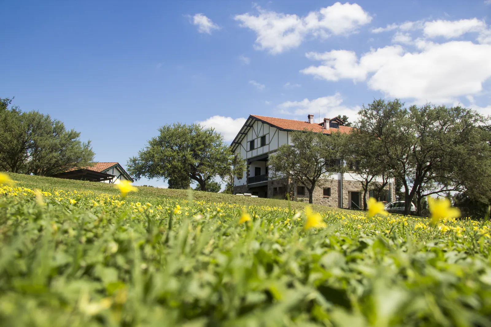 La casa a lo lejos, con flores amarillas