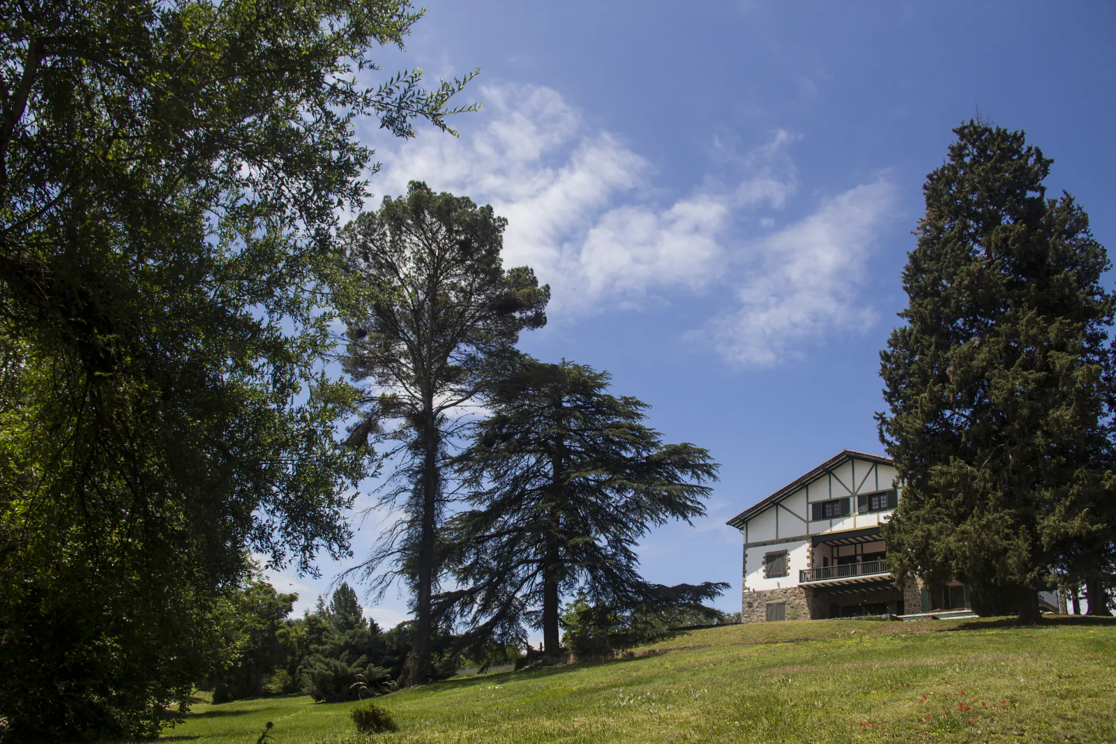 La casa entre pinos y cedros