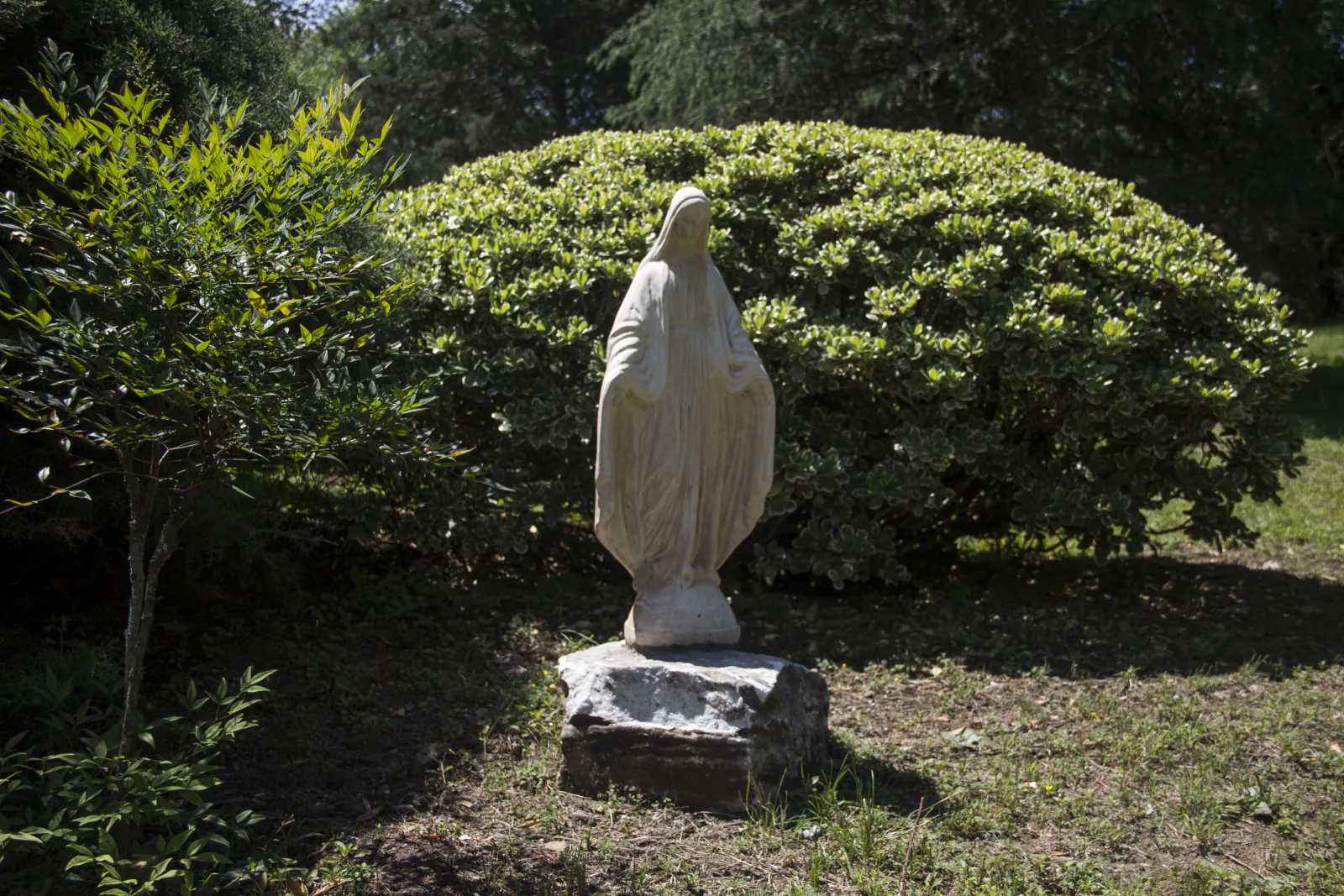 Virgen entre los arbustos del parque